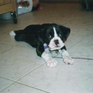 kylie's first day home