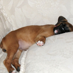 Worn out on Memorial Day 2005
