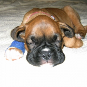 Sleeping on Mom's Bed