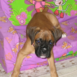 Comfy Sofa!