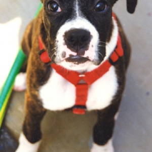Romy at Six Months