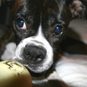 Romy and Her Glow-Ball