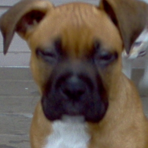 ALI at 3 months