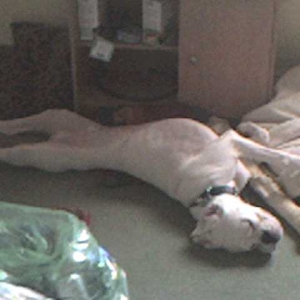 Stretched out!