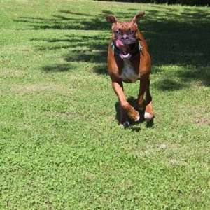 Jake running