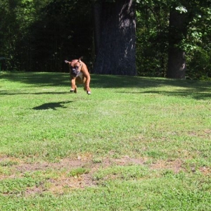 Leaping for joy