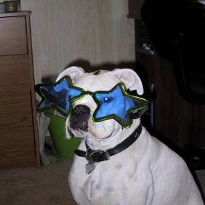 Seeing Stars