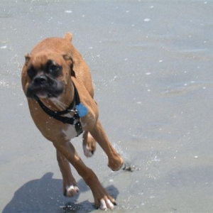 I love the beach