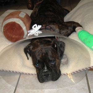 My Poor Baby