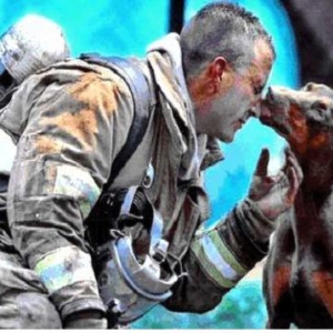 The Doberman & The Fireman