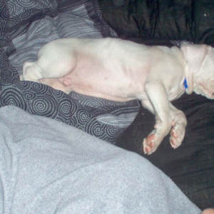 Storm Sleeping