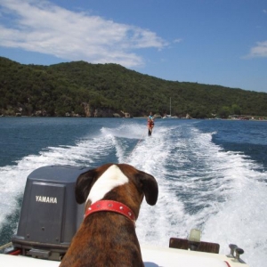 bomba boat