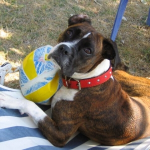 ball