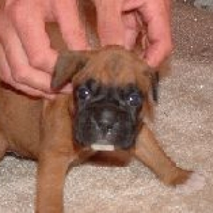 Meet California Haven aka... Cali !
