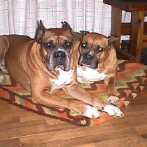 Sammie and Sassie