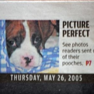 Gunnar's Famous!