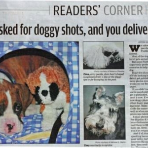 Gunnar in the newspaper!