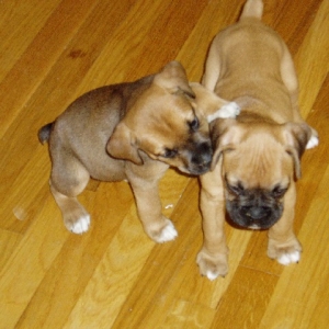 Cousins
