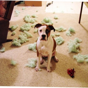 Did I do that?