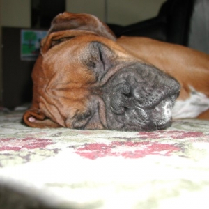sooo sleepy