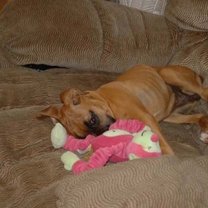 Bella & her Baby