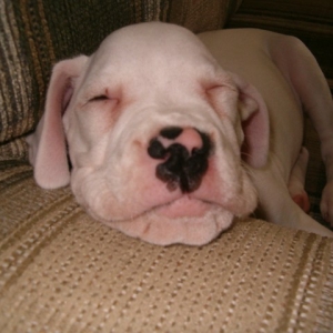 trying to nap
