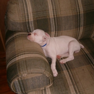 sleepy