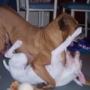 smack!!