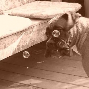 Attacking bubbles