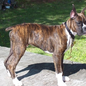Getting Big!!!