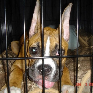 Smiling in jail