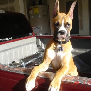 Standing tall on the truck
