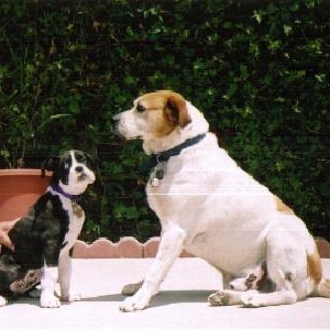 Kylie & Chato