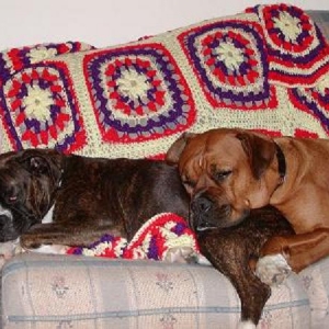 My two babies