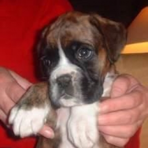 Harry's 1st pic