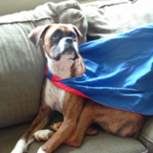 Super Rocky!!!