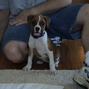 8 Weeks