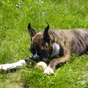 My toy!