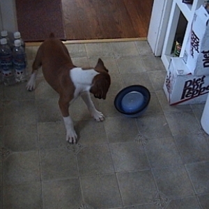 Water Please!