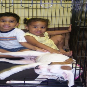 kids in cage