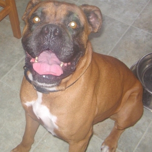 Smiling Sampson