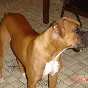 Tyson is always lookin for snack