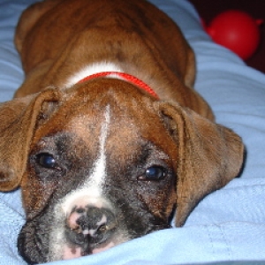 What a face!