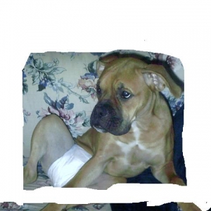 MY LITTLE BABY