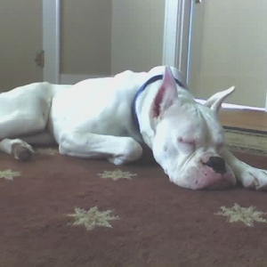 Nap time!