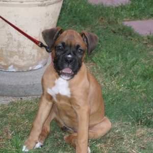 Gretchen at 9 weeks