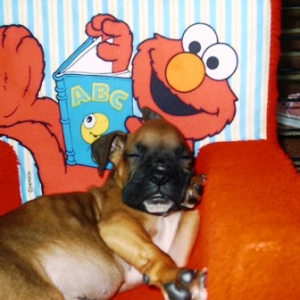 Lennox 9wks