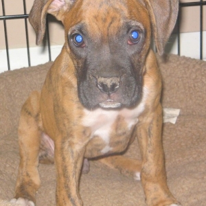 I wasn't digging holes! Really, mom!