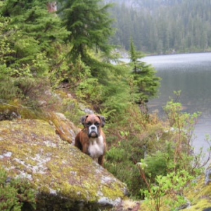 Hiking with Dad