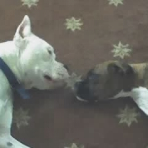 keeping an eye on eachother
